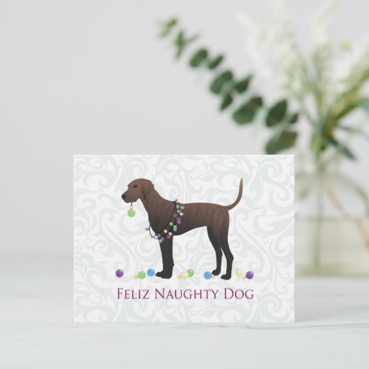 Plott Hound Weihnachten (Stehend Vorderseite)