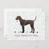 Plott Hound Weihnachten (Vorne/Hinten)