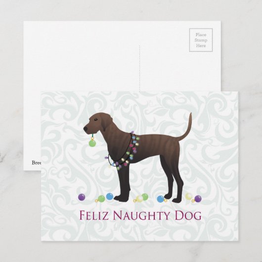 Plott Hound Weihnachten (Vorne/Hinten)