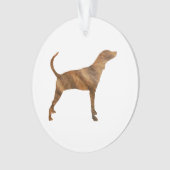 plott Jagdhund brindle silhouette.png Ornament (Vorderseite)