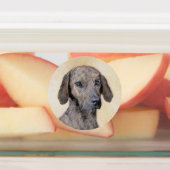 Plottengemälde - Niedliche Original Hundkunst Etiketten (Befestigt)