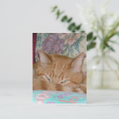 Plotting Postkarte (Stehend Vorderseite)