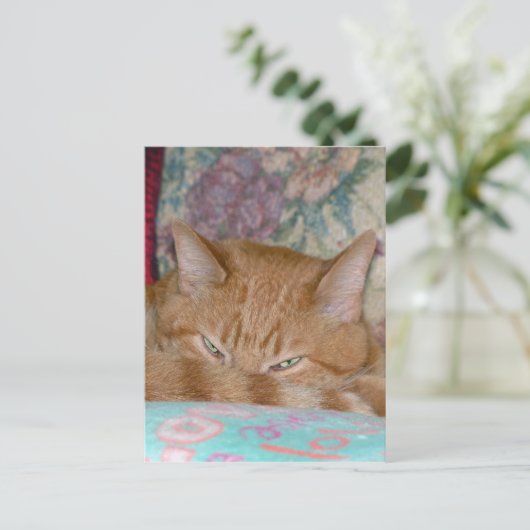 Plotting Postkarte (Stehend Vorderseite)