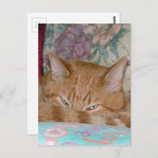 Plotting Postkarte (Vorne/Hinten)