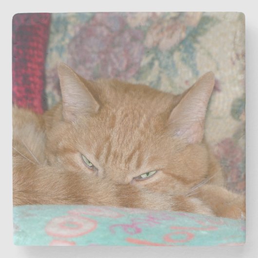 Plotting Steinuntersetzer (Vorderseite)