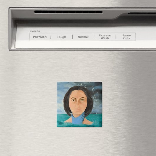 Plötzlich 2010 magnet (In Situ (Geschirrspüler))