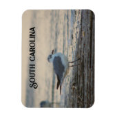 Plover am Strand Magnet (Vertikal)