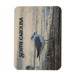 Plover am Strand Magnet