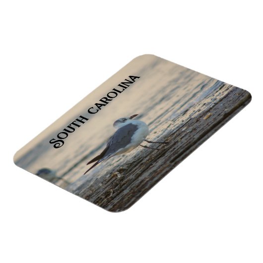Plover am Strand Magnet (Linke Seite)