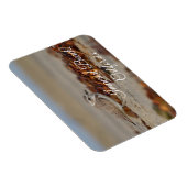 Plover and Seaweed Imperial Beach, Kalifornien Magnet (Rechte Seite)