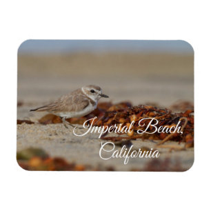Plover and Seaweed Imperial Beach, Kalifornien Magnet