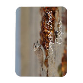 Plover and Seaweed Imperial Beach, Kalifornien Magnet (Vertikal)