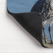 Plover Mousepad (Ecke)
