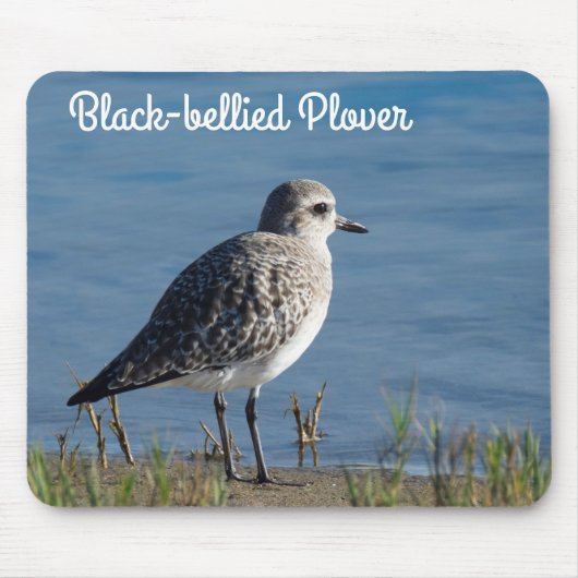 Plover Mousepad (Vorne)