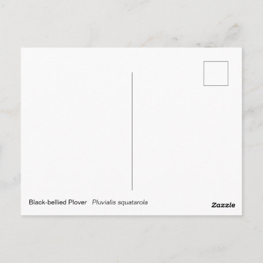 Plover Postkarte (Rückseite)