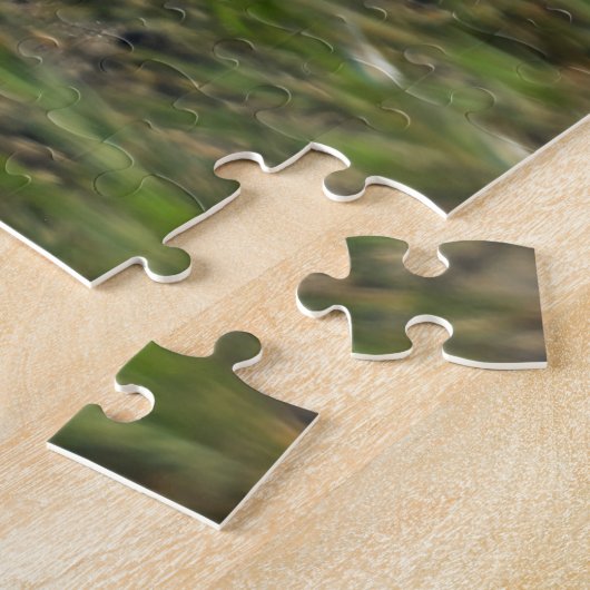 Plover Puzzle (Seite)