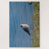 Plover Puzzle (Vertikal)