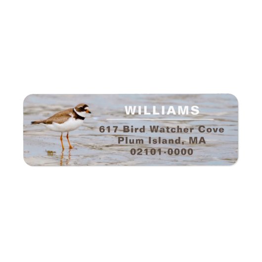 Plover Shore Bird Rücksendeadresse (Vorne)