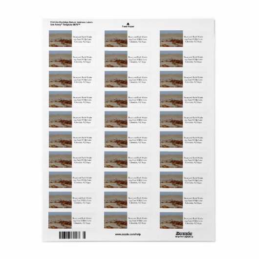 Plover und Algen (Vorne)