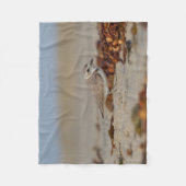 Plover und Algen Fleecedecke (Vorderseite)