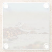 Plover und Algen Glasuntersetzer (Rückseite)