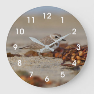 Plover und Algen Große Wanduhr