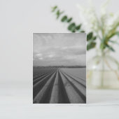 Plowfeld Postkarte (Stehend Vorderseite)