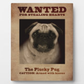 Plucky Mops Plaque Fotoplatte (Vorderseite)