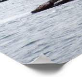 Plum Beach Lighthouse - Poster von 1999 (Ecke)