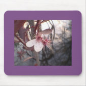 Plum Bloom Mousepad (Vorne)