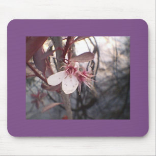 Plum Bloom Mousepad