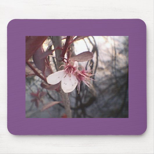 Plum Bloom Mousepad (Vorne)
