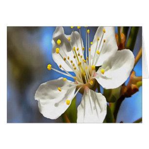 Plum Blossom Botanische Kunst