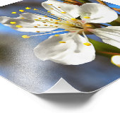 Plum Blossom Botanische Kunst Fotodruck (Ecke)