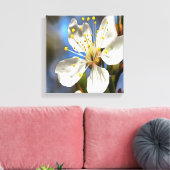 Plum Blossom Botanische Kunst Leinwanddruck (Insitu (Wohnzimmer))