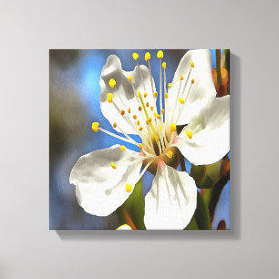 Plum Blossom Botanische Kunst Leinwanddruck