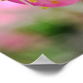 Plum Blossom Close-Up Poster (Ecke)