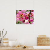 Plum Blossom Close-Up Poster (Küche)