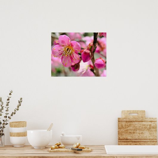 Plum Blossom Close-Up Poster (Küche)