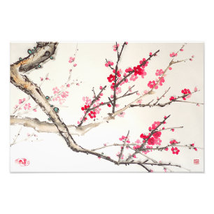 Plum Blossom Fotodruck