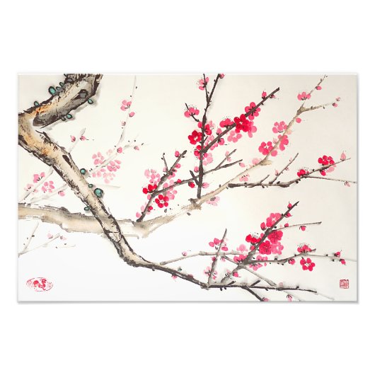 Plum Blossom Fotodruck (Vorne)