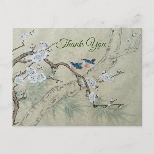 Plum Blossom im Frühling Postkarte (Vorderseite)