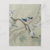 Plum Blossom im Frühling Postkarte (Vorderseite)