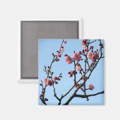 Plum Blossom: Japan Magnet (Vorderseite/Rückseite)