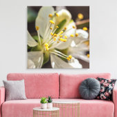 Plum Blossom Leinwanddruck (Insitu (Wohnzimmer))