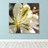 Plum Blossom Leinwanddruck (Insitu (Holzboden))