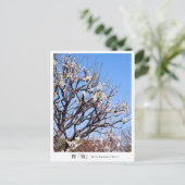 Plum Blossom ‘Okina’ Postkarte (Stehend Vorderseite)
