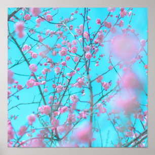 Plum Blossoms (Suzhou, China) Poster