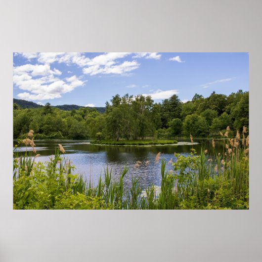 Plum Brook Teich Poster (Vorne)