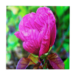 Plum Crazy Lila Hibiskus Details zu grünen Folien Fliese